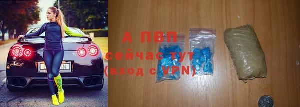 спайс Бородино