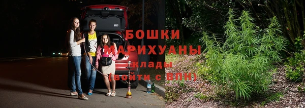 спайс Бородино